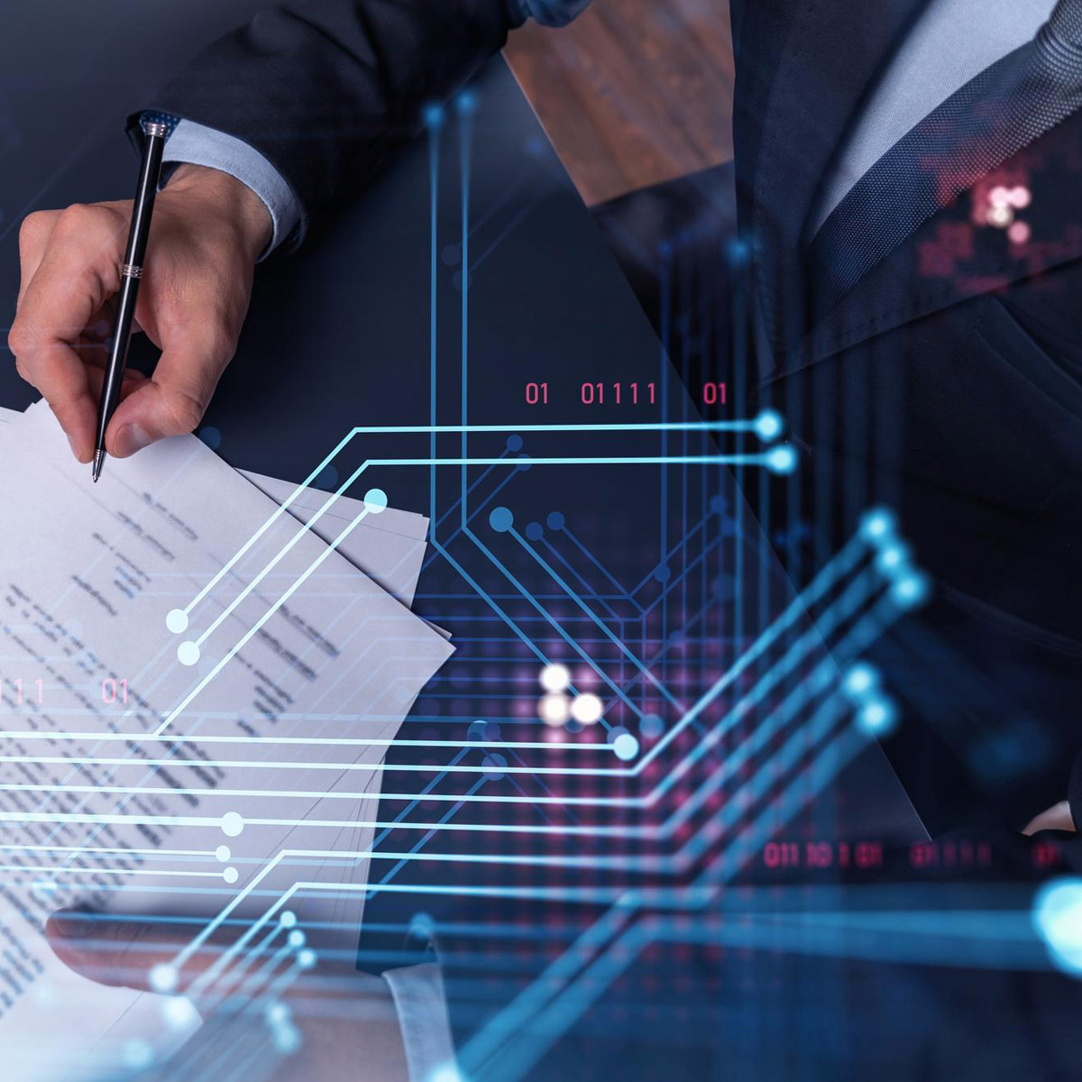 Entegre Devre Topografyası